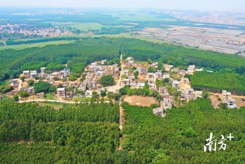 乐民所城有四个城门乐民所城,全称乐民守御千户所城,位于遂溪县乐民镇