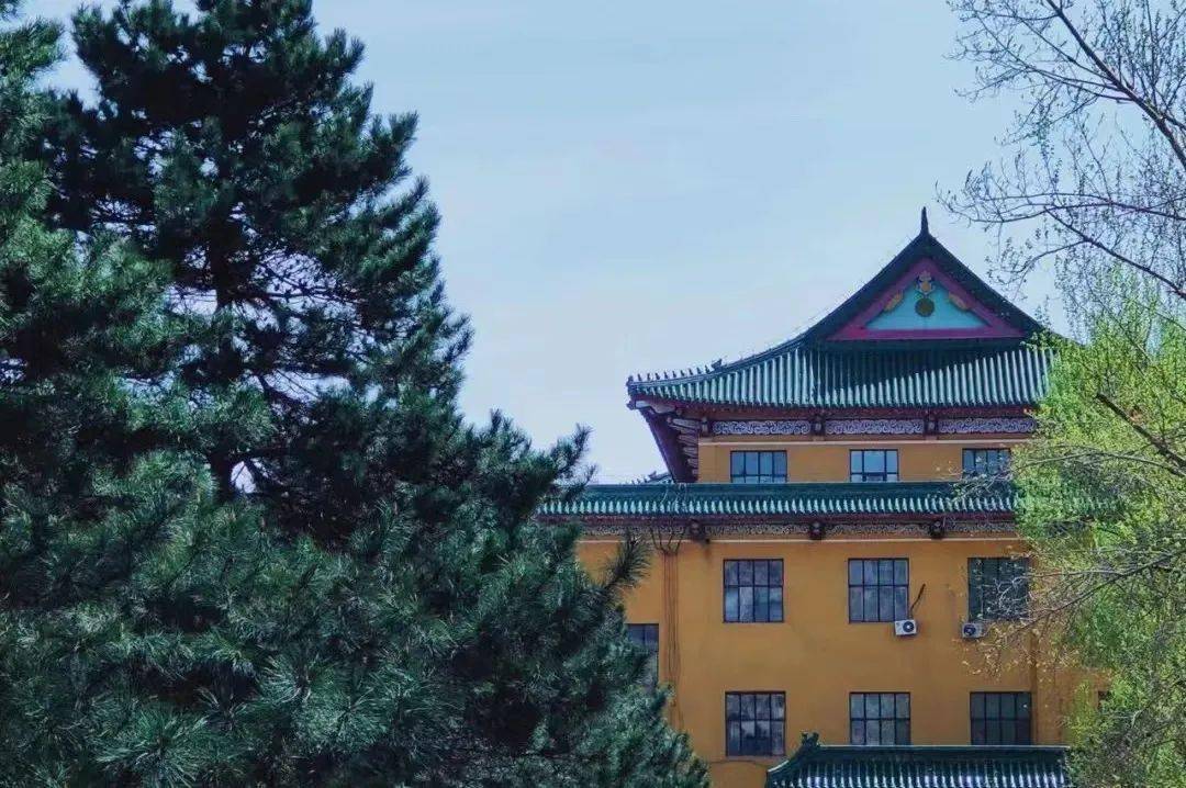 不想说再见让我们再一次云游吉大