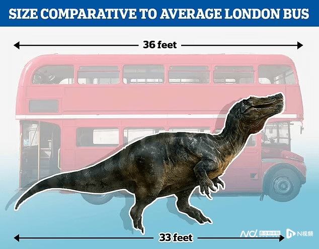 英国惊现鳄鱼脸恐龙：身长10米，或是欧洲最大陆地食肉动物