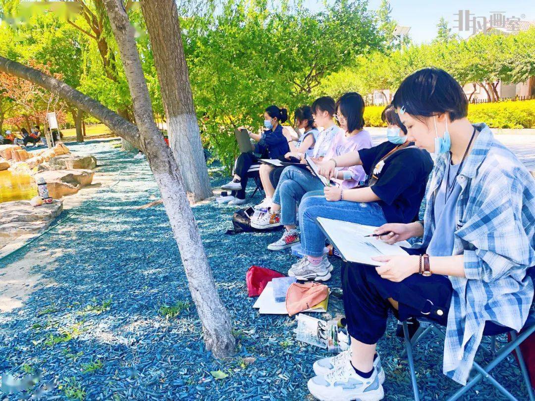 艺考流程及报考条件_艺术生录取分数线_联考和校考的区别