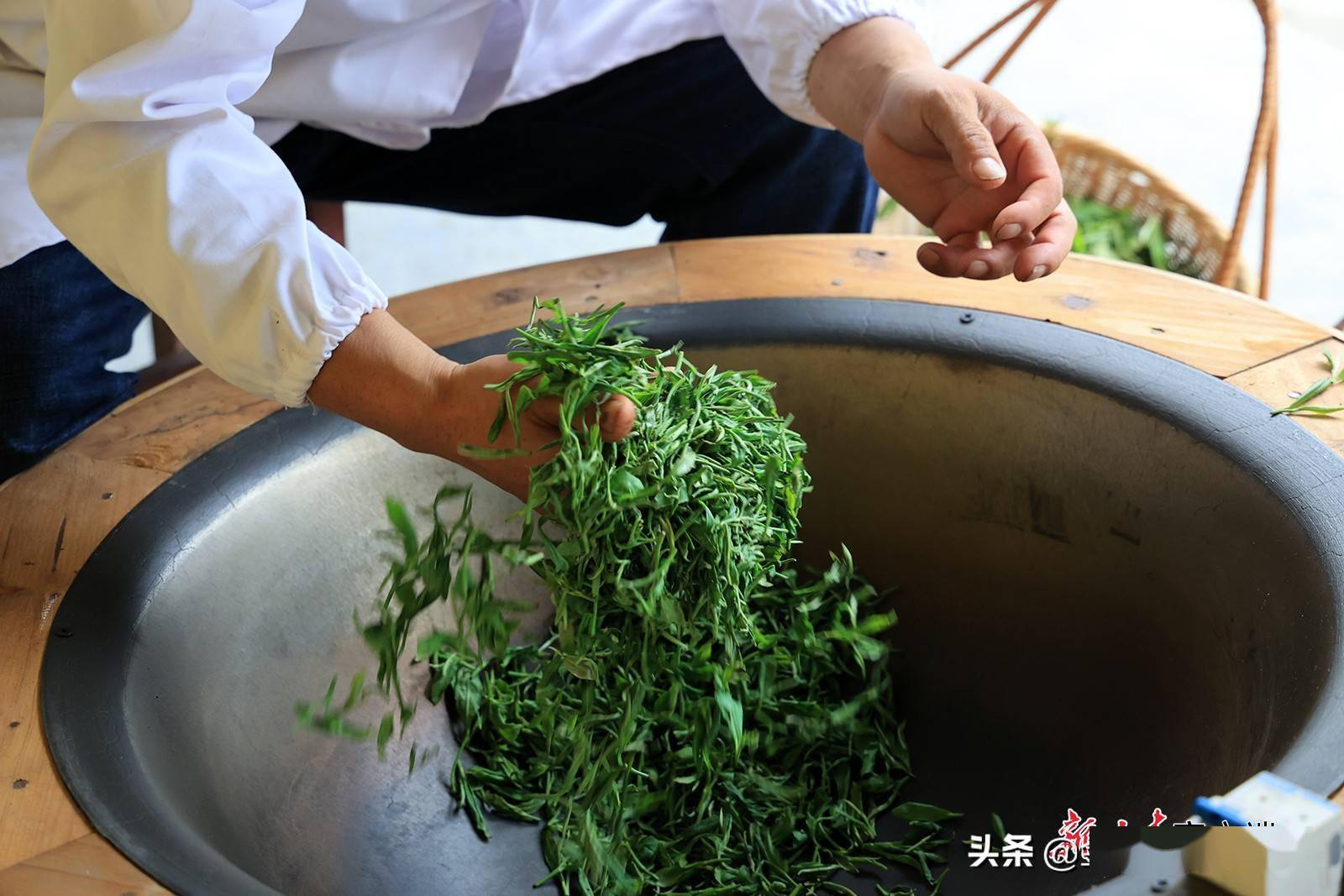 康县传统手工工艺炒制茶叶受青睐