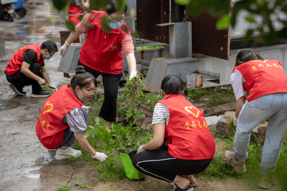 楼道行动（13） 微光成炬，用志愿服务点亮城市文明之光进行青年组织 6626