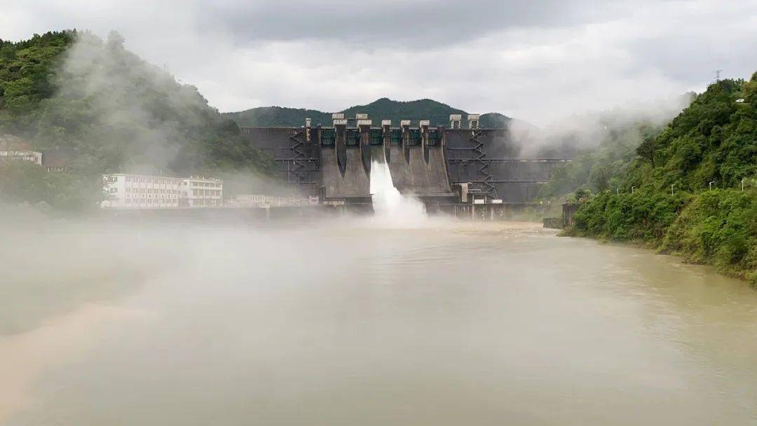 【视频】龙川枫树坝开闸泄洪,水龙怒涛翻卷气势如虹