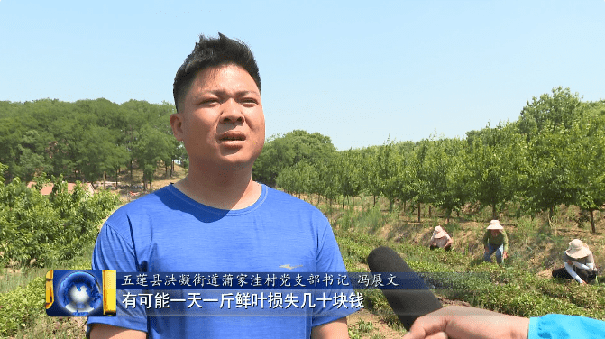 日照五莲零灵发灵活就业平台解难题促就业