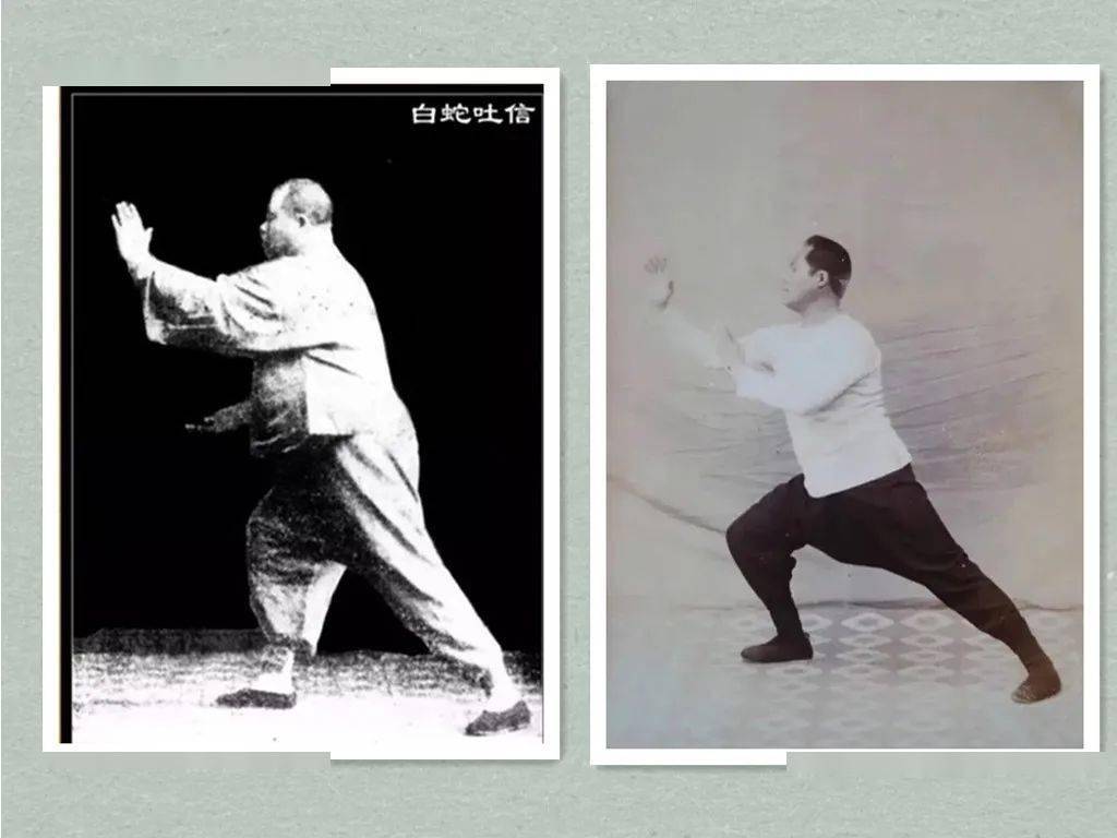 [稀世经典](80)杨澄甫宗师青年与晚年拳照大全