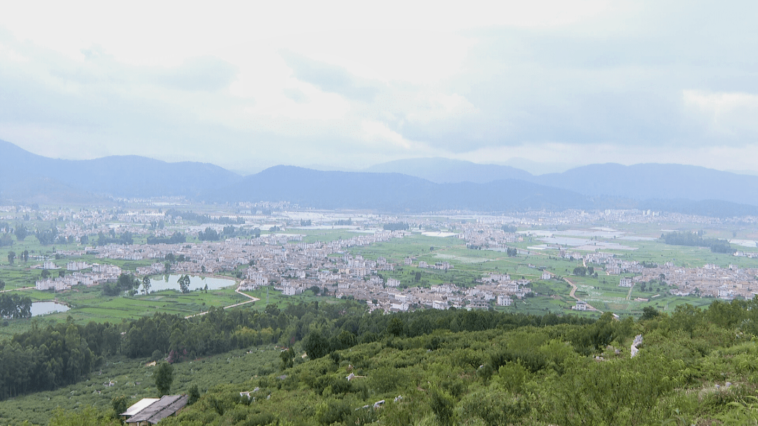 宝秀镇:坚决清退鱼塘!只为异龙湖水清!_工作_养殖_石屏县