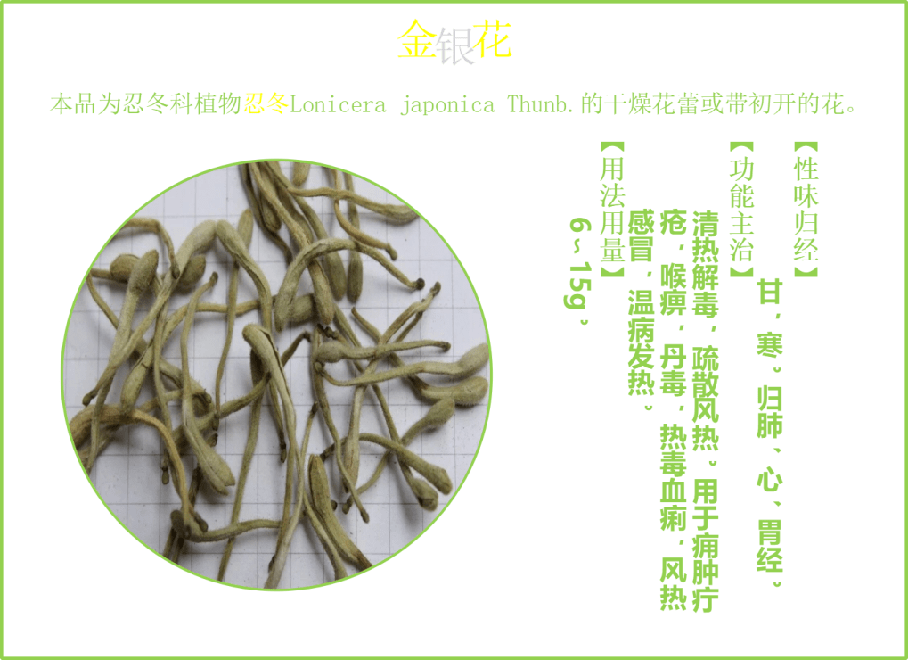 谁说便宜没好货,山银花——高性价比的中药_金银花_忍冬_含量