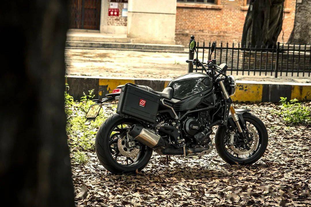 百变我有型幼狮800海外小改图赏