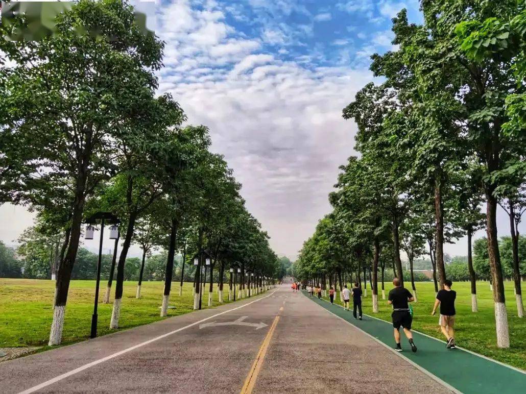 天氣太熱太煩躁,用夜跑打卡夏季解壓新方式_城市運動公園_西安_休閒