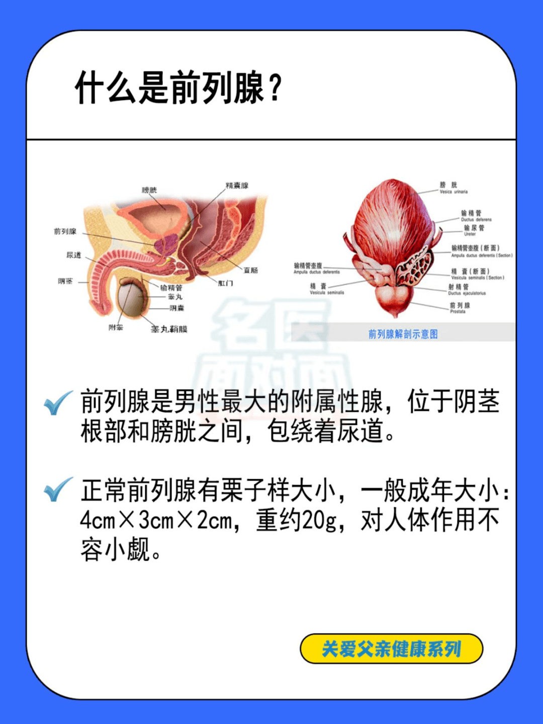 父爱如山,愿他健康_前列腺_男性_疾病