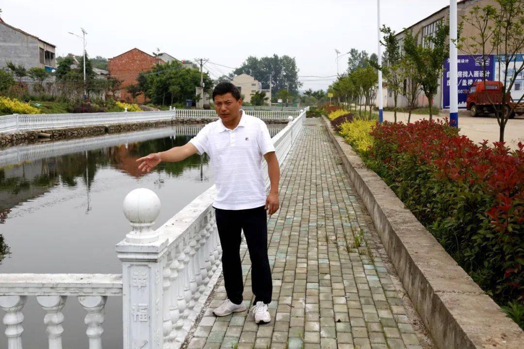 反哺家乡作贡献报效桑梓助振兴记孝感市人大代表大悟县芳畈镇赵河村