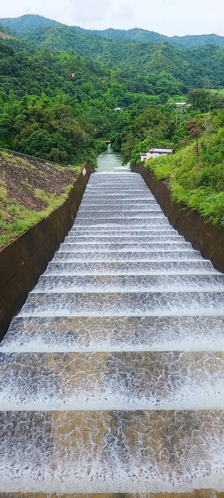 直擊豐順虎局水庫洩洪現場_市民_洪烈_成霸屏