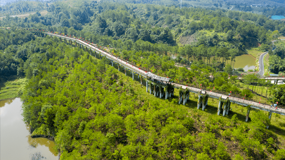 武平林改20年 | 千鹭湖由此得名,名不虚传!_湿地_白鹭_生态