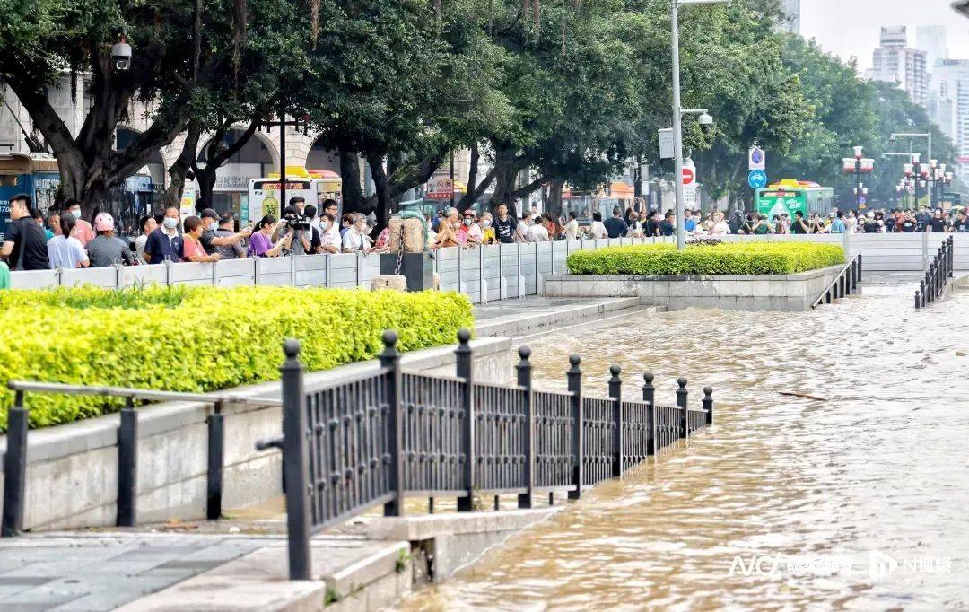 明天起退潮 →廣州未來一週暴雨…_珠江_高程_龍舟