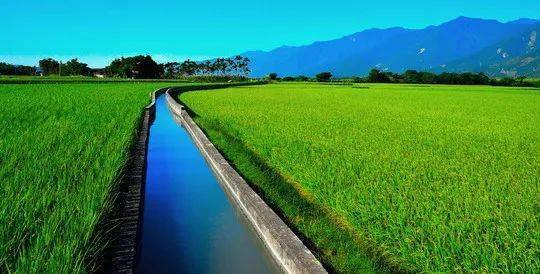 想在农田里修一条沟渠,被卫片发现怎么办?