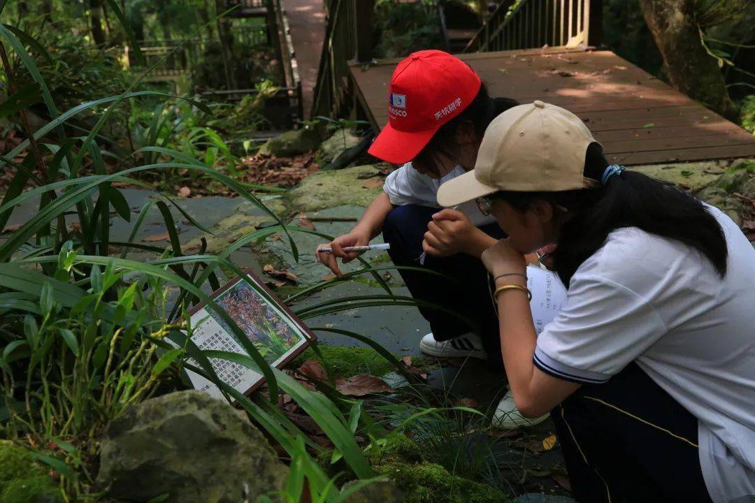 中广核乐业县高级中学白鹭班研学旅行活动精彩回顾