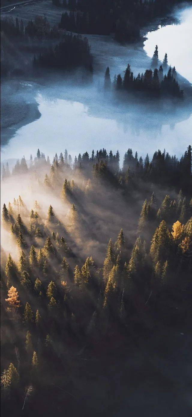 微信森林自然风景图片图片