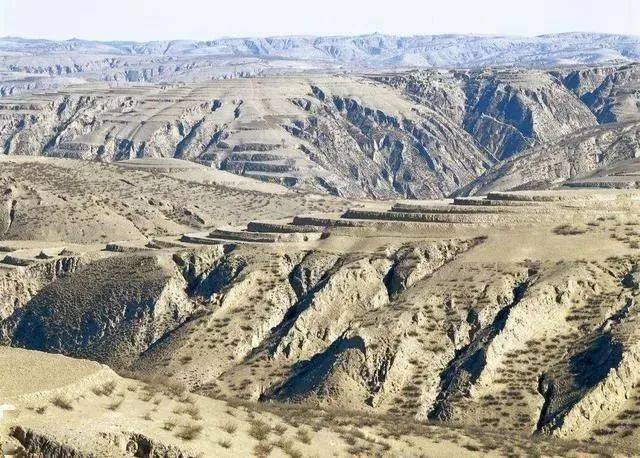 携手防治荒漠化共建生命共同体