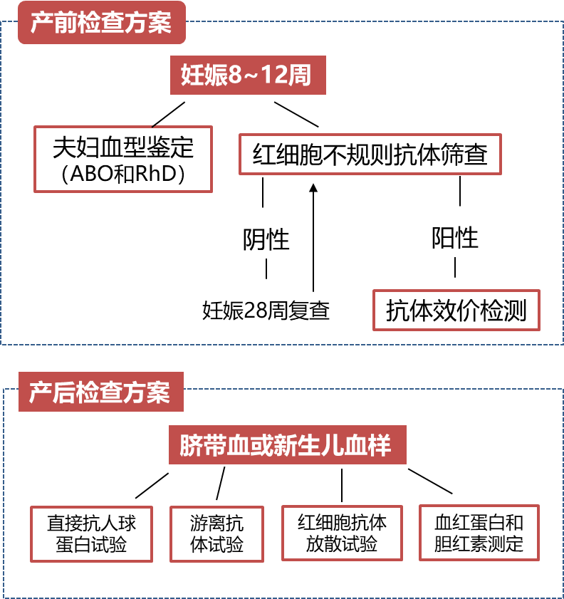 考虑到新生儿溶血常导致高胆红素血症,因此需要加强孕期监测与干预(图