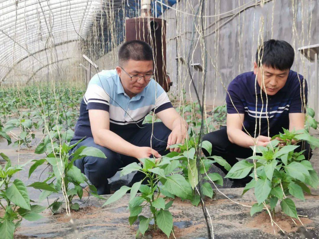 邱鹏程科技护航坚守粮心