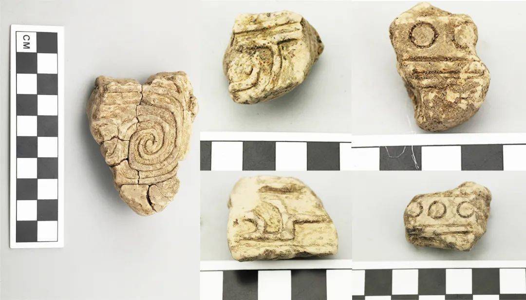 考古带你游安徽丨淮河青铜文明之光阜南县台家寺遗址