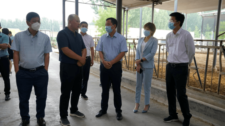 现代农业产业发展模式 精准招商共谋发展_屯昌_投资集团_燕郊开发区