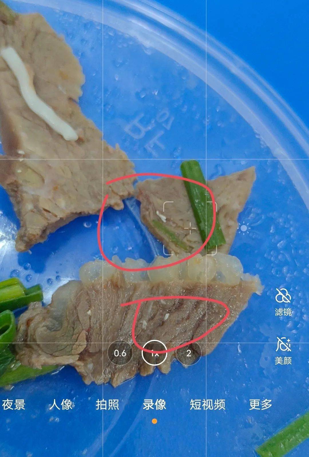 说是点米粉外卖的时候,牛肉配菜上居然发现了有类似虫卵的物质,一起来