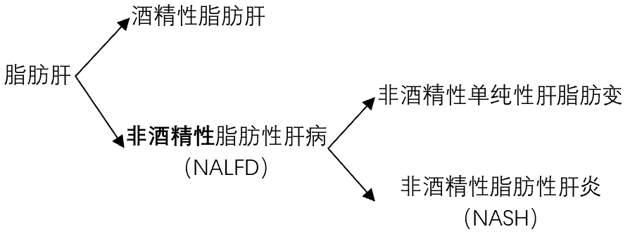 体检出脂肪肝,可用哪些药物治疗?