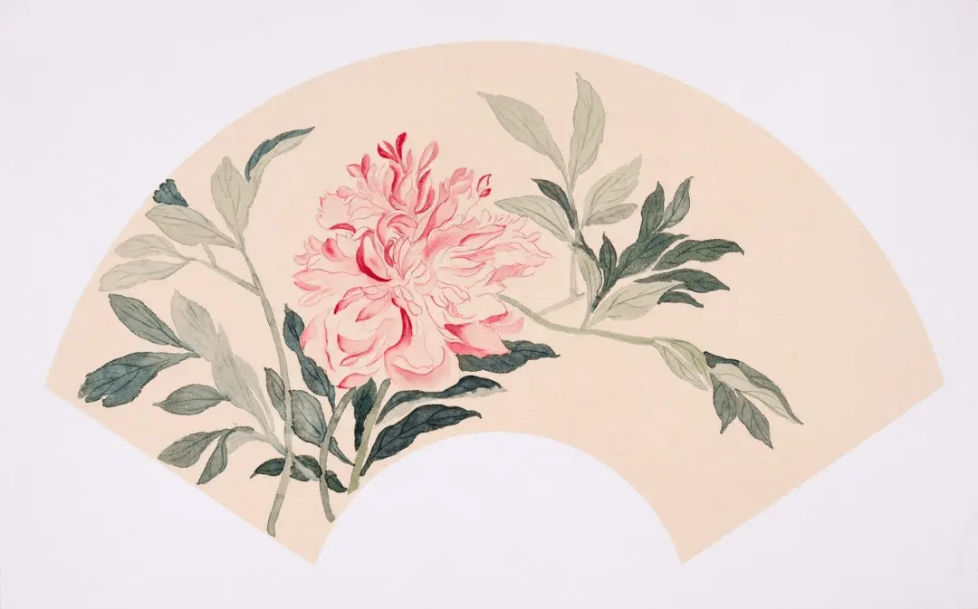 【国画教程】超详细的没骨芍药扇面绘制步骤_颜色_叶子_花瓣