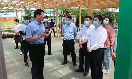 河南省人大来舞检查河南省高标准粮田保护条例贯彻实施情况