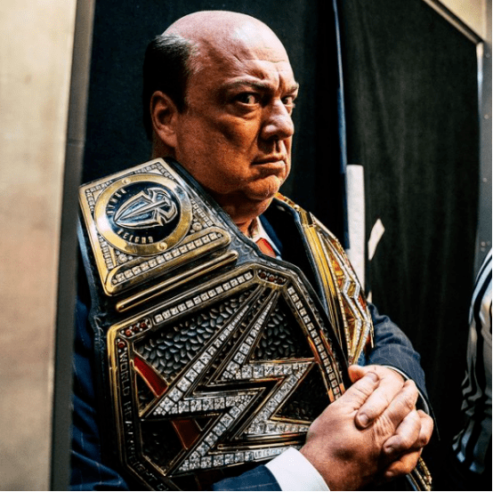 斯蒂芬妮代替父亲成为wwe临时ceo保罗海曼看来要拥有新角色