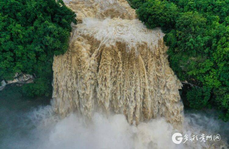 贵州安顺：黄果树瀑布迎来今年最大水量