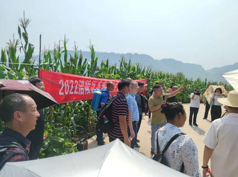 涪陵区2022年高素质农民豆玉种植观摩现场会在新妙召开_新妙镇_复合