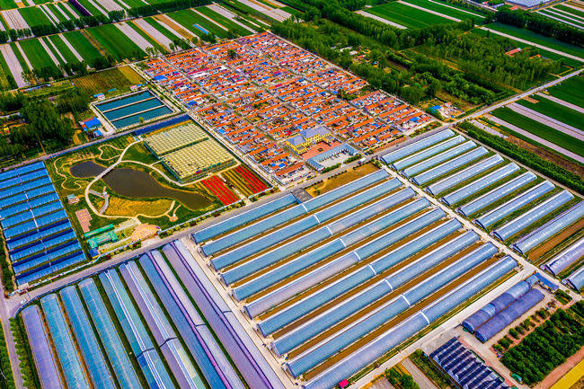 青岛西海岸新区大场镇项目引领产业支撑打造高质量发展新引擎