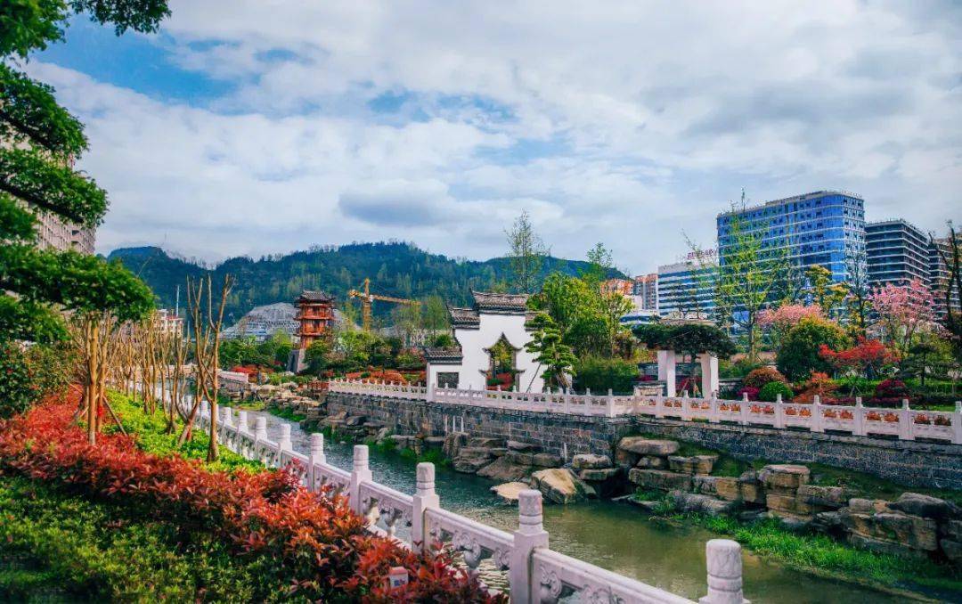 走进乡村看产业丨谢桥街道打造产业集群助推农业产业融合发展