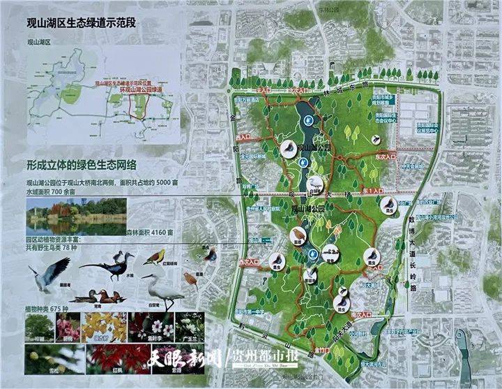 其中"环观山湖绿道"示范段,将沿观山湖公园而建,辐射四方,合围成环,东