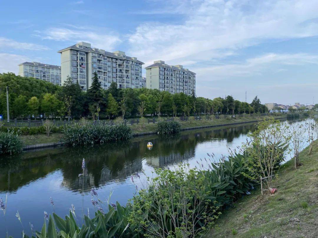 万祥一商业项目效果图曝光!还有项目现场图片_三灶_文化_建设