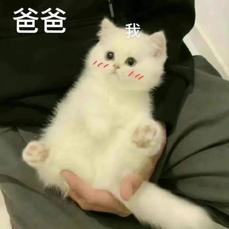 我管我爸叫,最熟悉的陌生人_父母_爸妈_表情