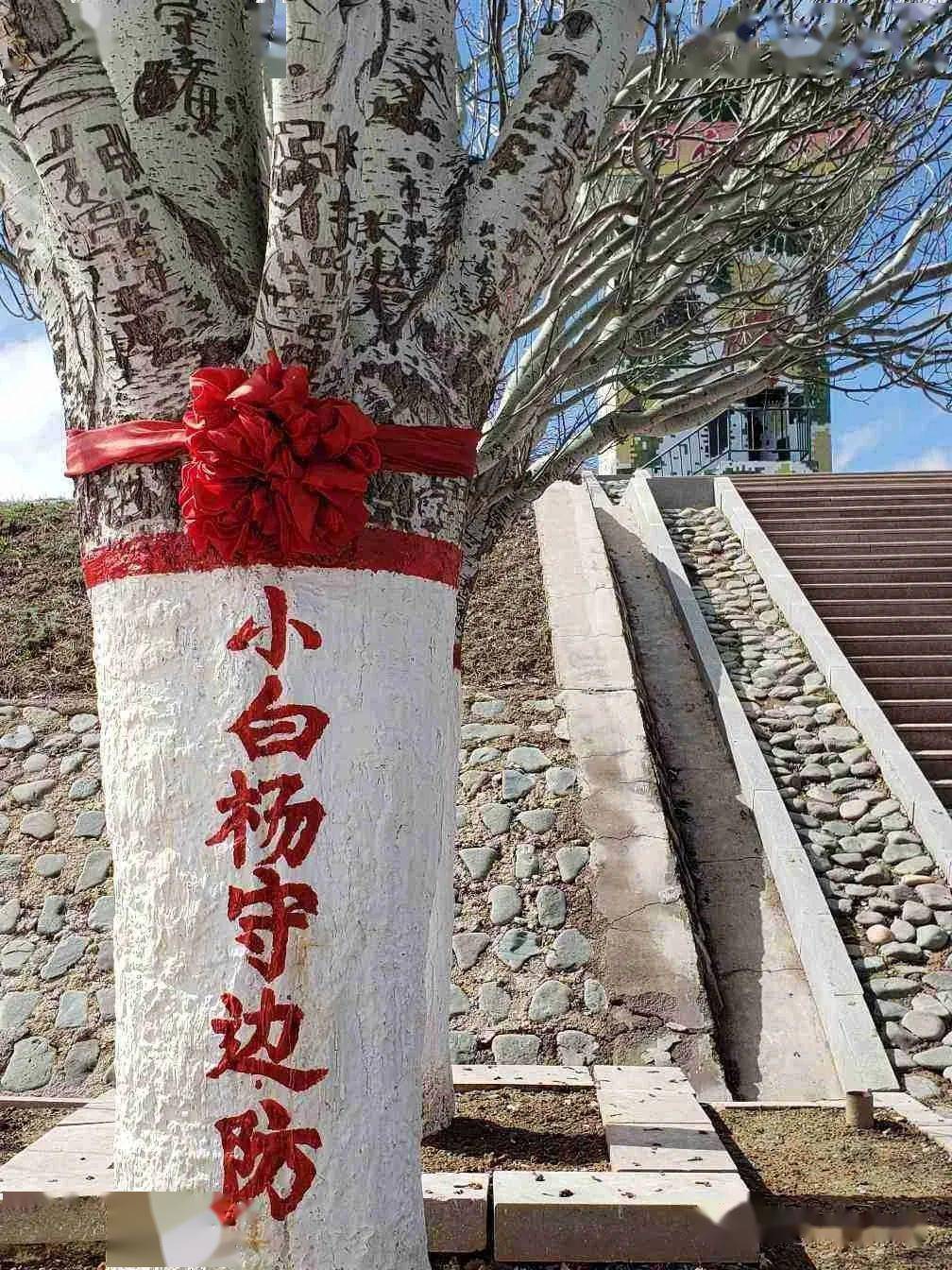 (费用498元)6月24日,29日油画塔城-额敏-小白杨哨所汽车三日游_新疆