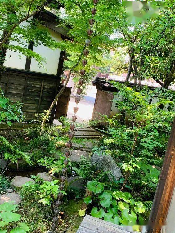 日本顶级杂木庭院500款_生活_园艺_景观