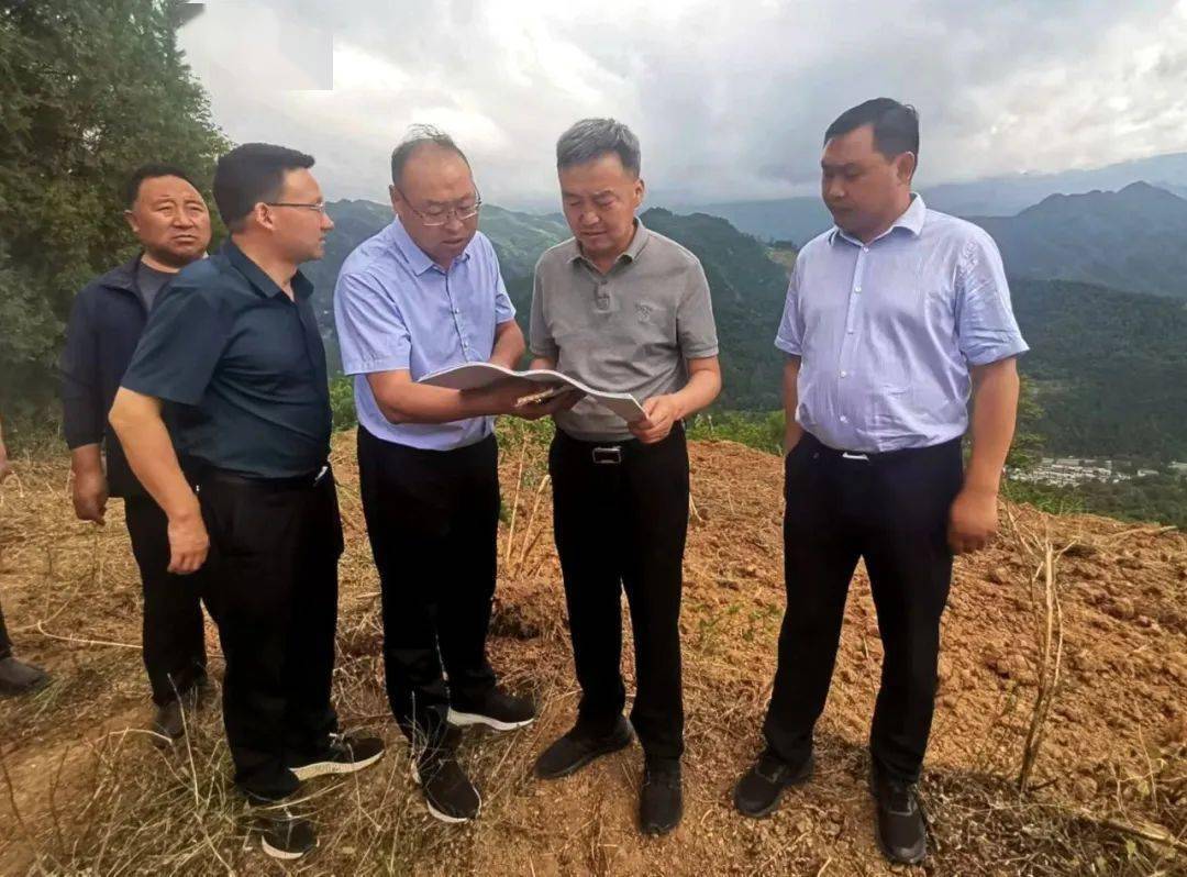 张书怀督查指导撂荒地整治工作