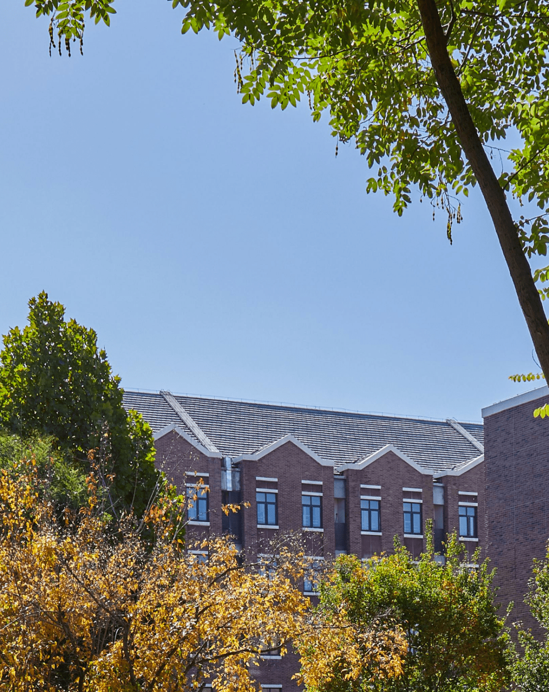 校舍全部采用英伦学院式建筑风格,学校环境清新典雅,除普通教室外,配