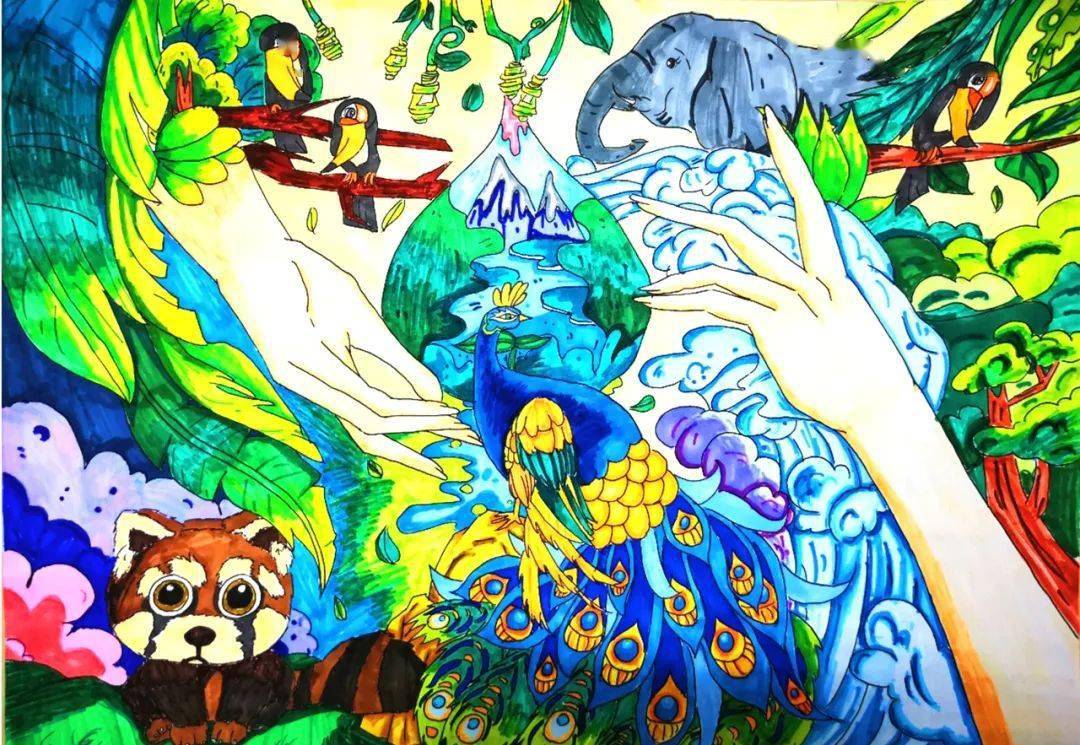 云南生物多样性的绘画图片
