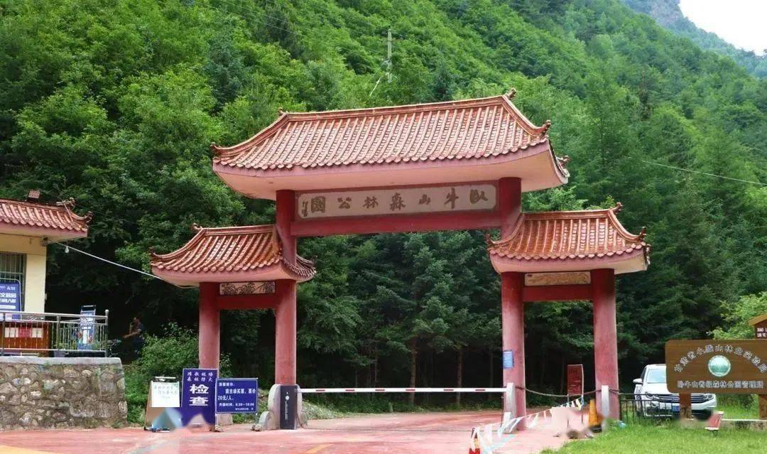 森林氧吧,避暑胜地