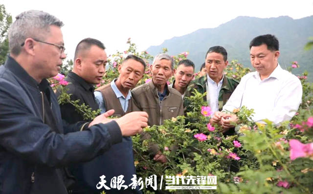 沿山镇,德新镇,新巴镇以及山王果,天泷,敏子,绿视野等刺梨种植重点