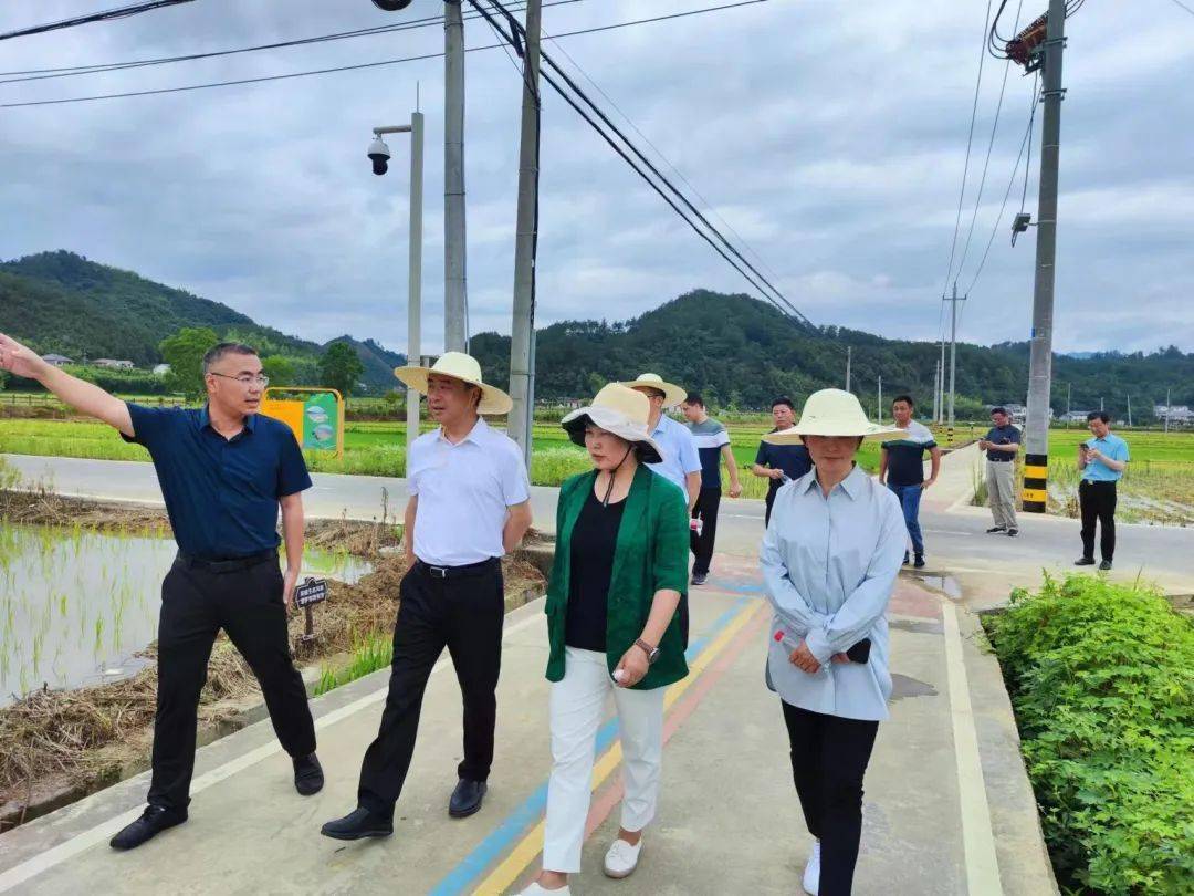 局长姚吉锋,党组成员,总农艺师邵京华带领农田建设处工作人员来临安区