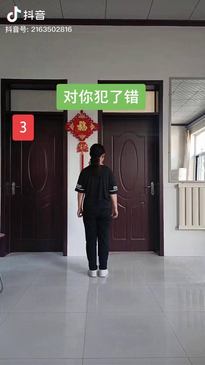 对你犯了错共八组动作第三组