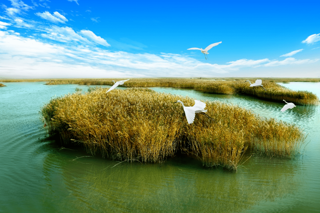 夏游锦州 东方华地城湿地温泉旅游度假区