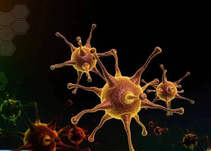 泳池中的隐匿杀手——腺病毒_游泳_症状_传播