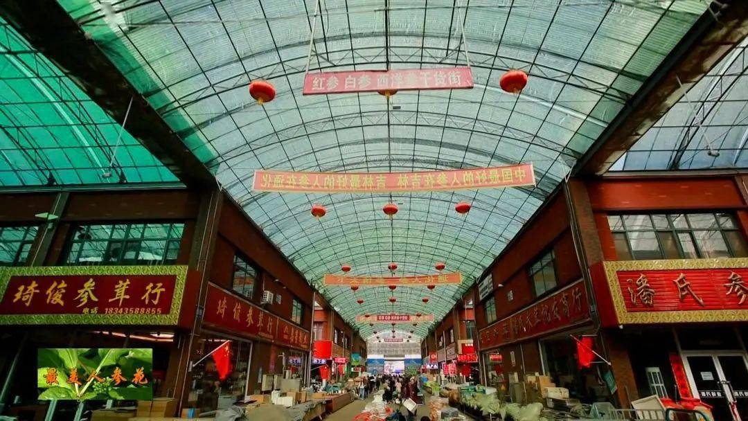 【最美人参花】舞动龙头唱大戏 产业化发展蕴新机_通化县_建设_投资